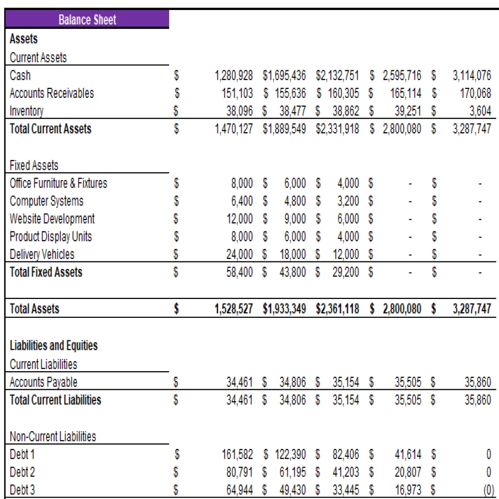 Beauty and Health Marketplace Excel Financial Model Projection Template - Balance Sheet Projection