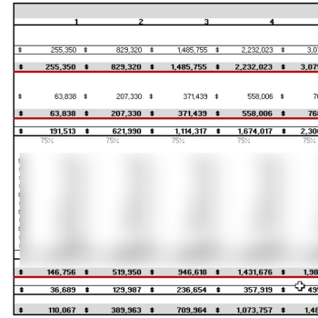 Books and Brews Excel Financial Model