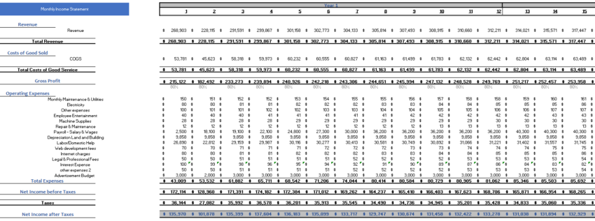 Carpet-Cleaning-Excel-Financial-Model-Monthly-Income-Statement.png