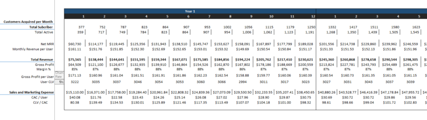 Data-Analytics-Excel-Financial-Model-CAC.png