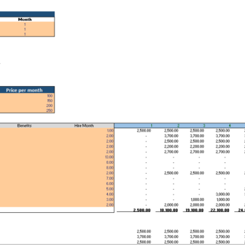 Data-Analytics-Excel-Financial-Model-Input-Assumptions.png