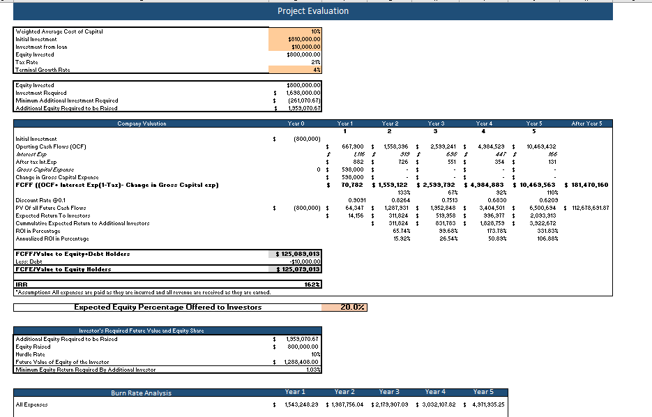 Data Analytics Software Financial Model