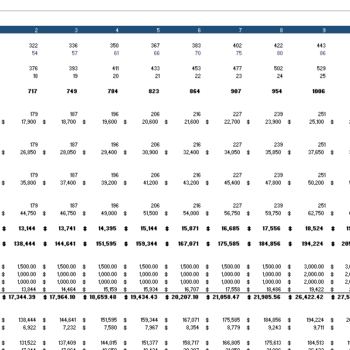 Data Analytics Software Financial Model - Image 13