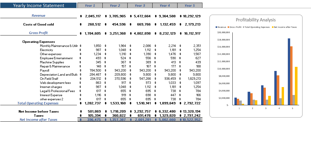 Data Analytics Software Financial Model