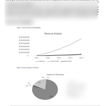 Driving School Business Plan - Image 5