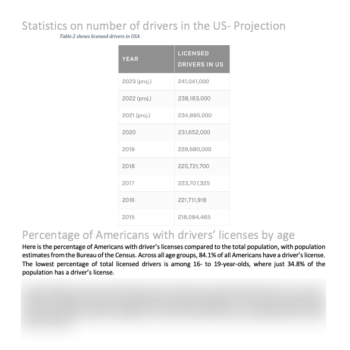 Driving School Business Plan - Image 6