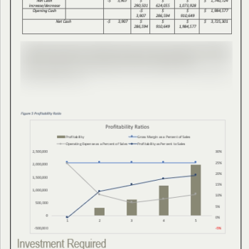 Errand Service Business Plan