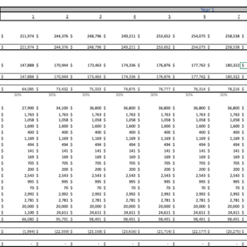 Imported-Cosmetic-Products-Excel-Financial-Model-monthly-income-statement.png