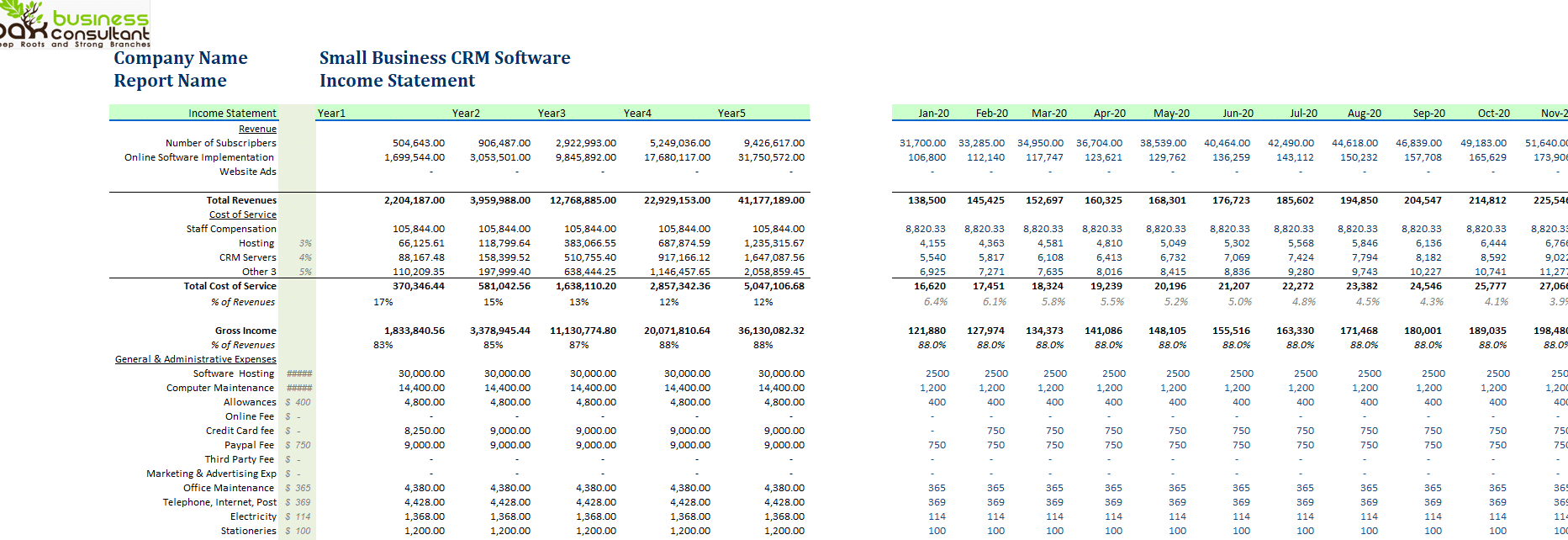 Small Business CRM Software Excel Financial Model