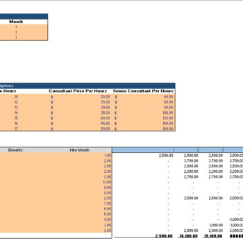 Legal-Service-Excel-Financial-Model-Input-Sheet-1.png