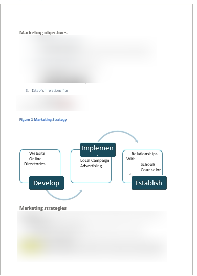 House Cleaning Business Plan-Marketing_plan_2