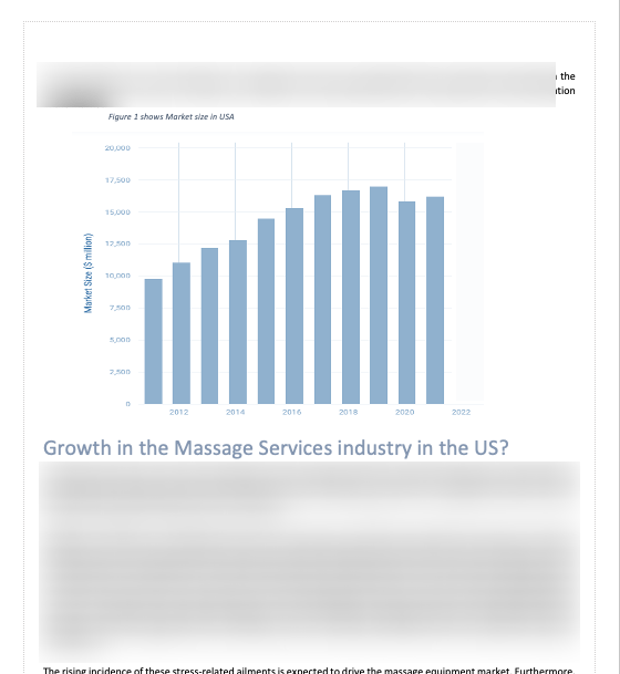 Massage Products Business Plan