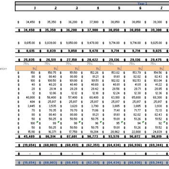 Mobile-Development-Financial-model-monthly-income-statement.png