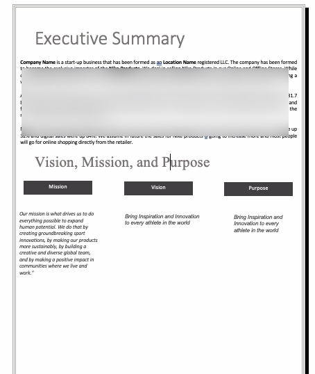 Nike Store Business Plan