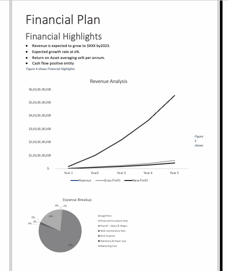 Nike Store Business Plan