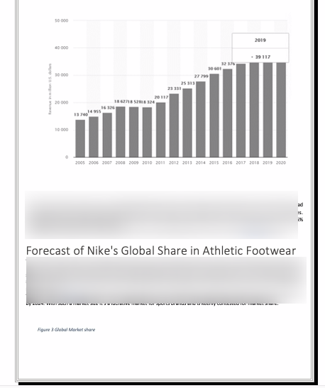 Nike Store Business Plan