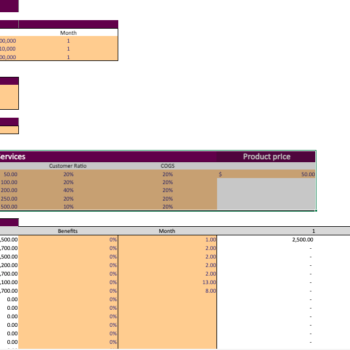 Ophthalmologist-Excel-Financial-Model-Template-input.png