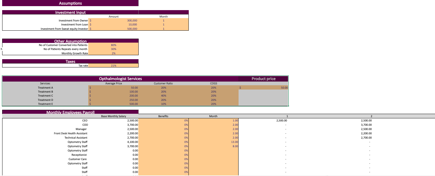 Ophthalmologist-Excel-Financial-Model-Template-input.png