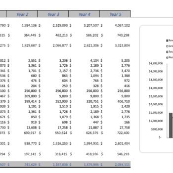 Ophthalmologist-Excel-Financial-Model-Template-yearly-income-statement.png