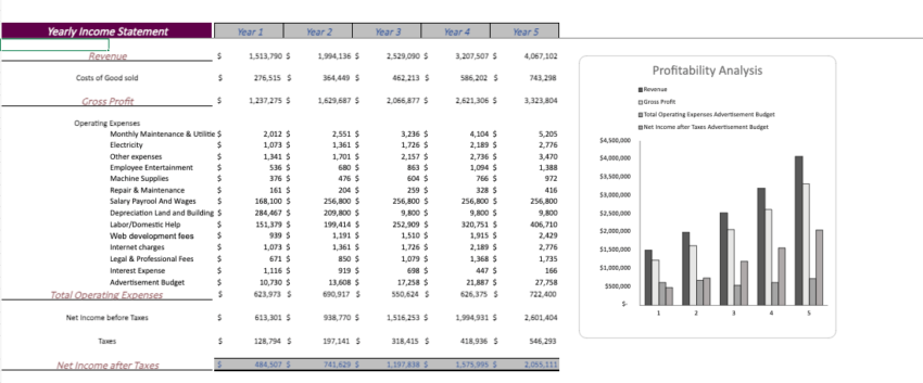 Ophthalmologist-Excel-Financial-Model-Template-yearly-income-statement.png