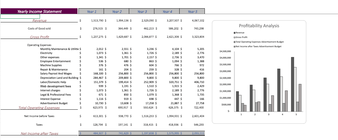 Ophthalmologist-Excel-Financial-Model-Template-yearly-income-statement.png