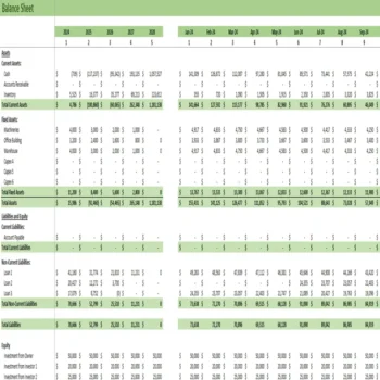 Organic Cleaning Services Financial Model - Balance Sheet
