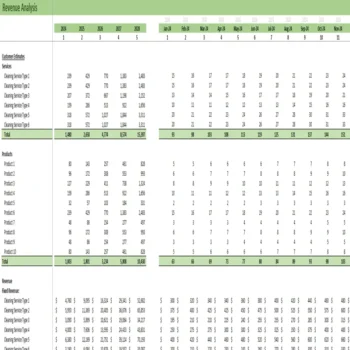 Organic Cleaning Services Financial Model - Revenue Analysis