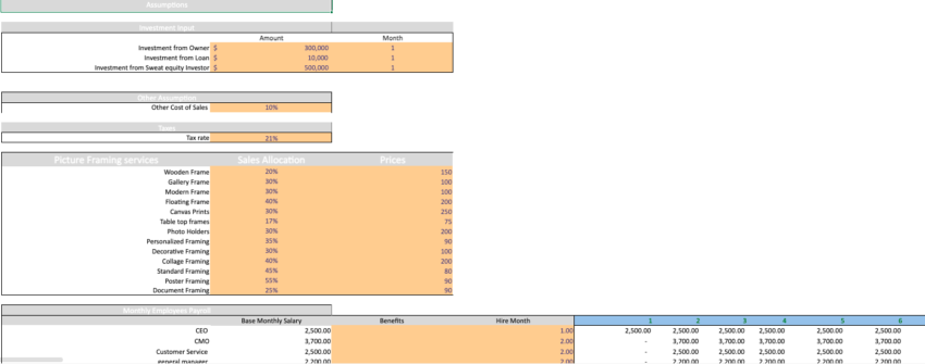 Picture-Framing-excel-Financial-Model-Template-input.png