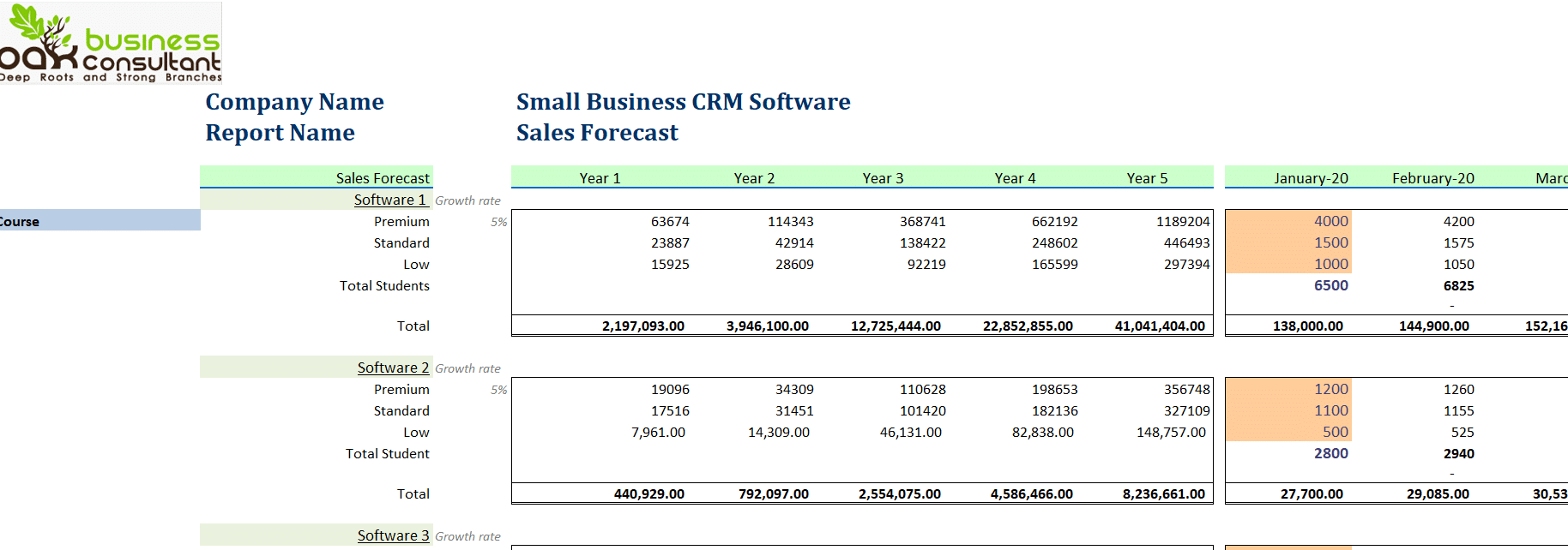 Small Business CRM Software Excel Financial Model
