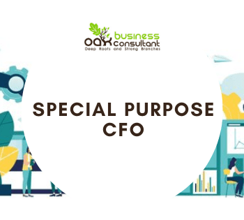 Special Purpose CFO