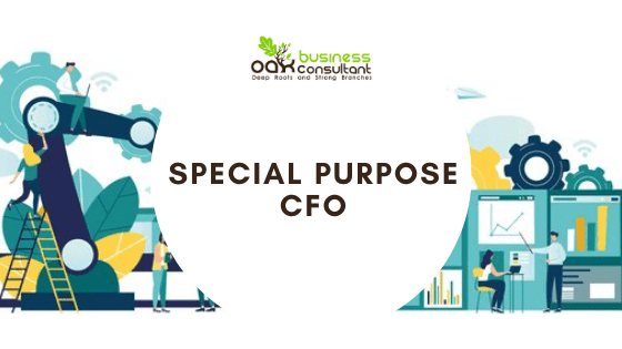 Special-Purpose-CFO.png
