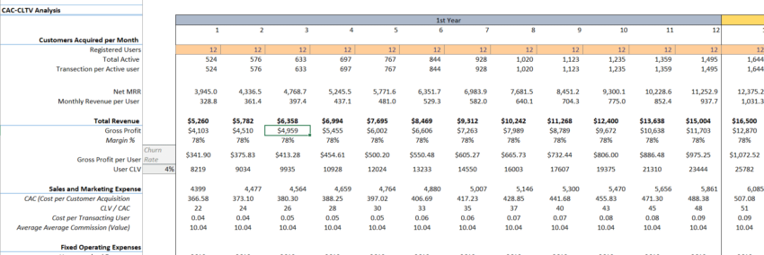 E-Mail Management Software Excel Financial Model