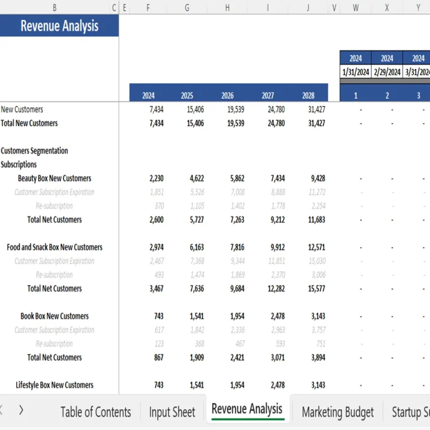 Surprise Subscription Box Financial Model - Revenue Analysis