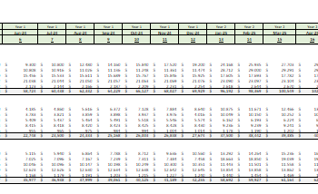 Virtual Queue App Excel Financial Model - Image 3