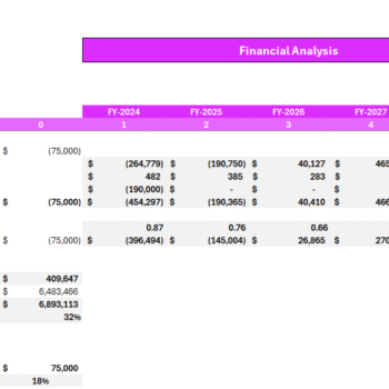 Wedding Agency Financial Model - Company Valuation