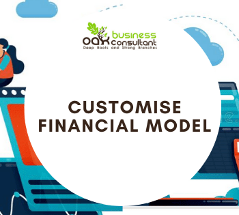 Custom Financial Models