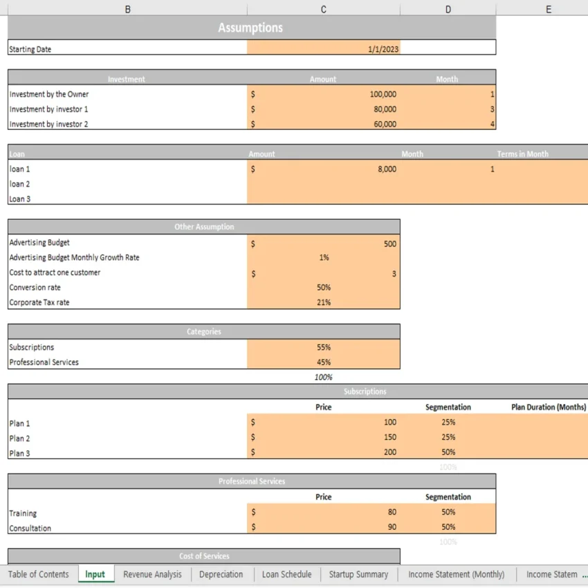 Database Excel Financial Model - Input Sheet
