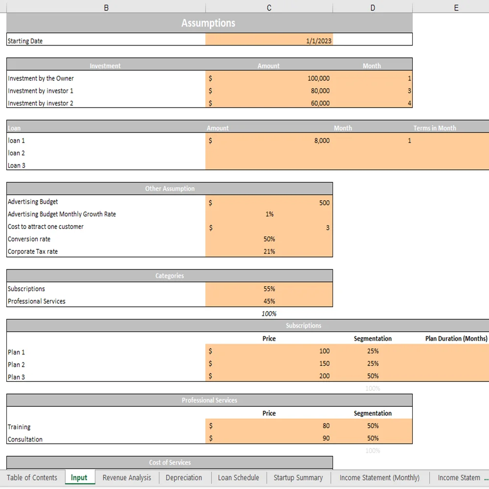 Database Excel Financial Model - Input Sheet
