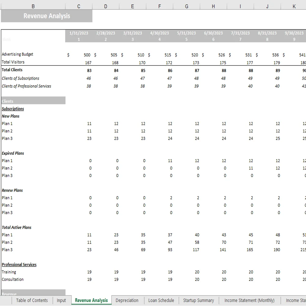 Database Excel Financial Model - Revenue Analysis