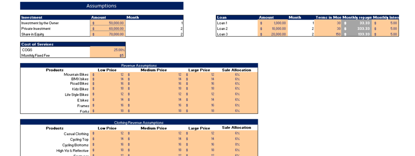 Online Bicycle Store Financial Model Input