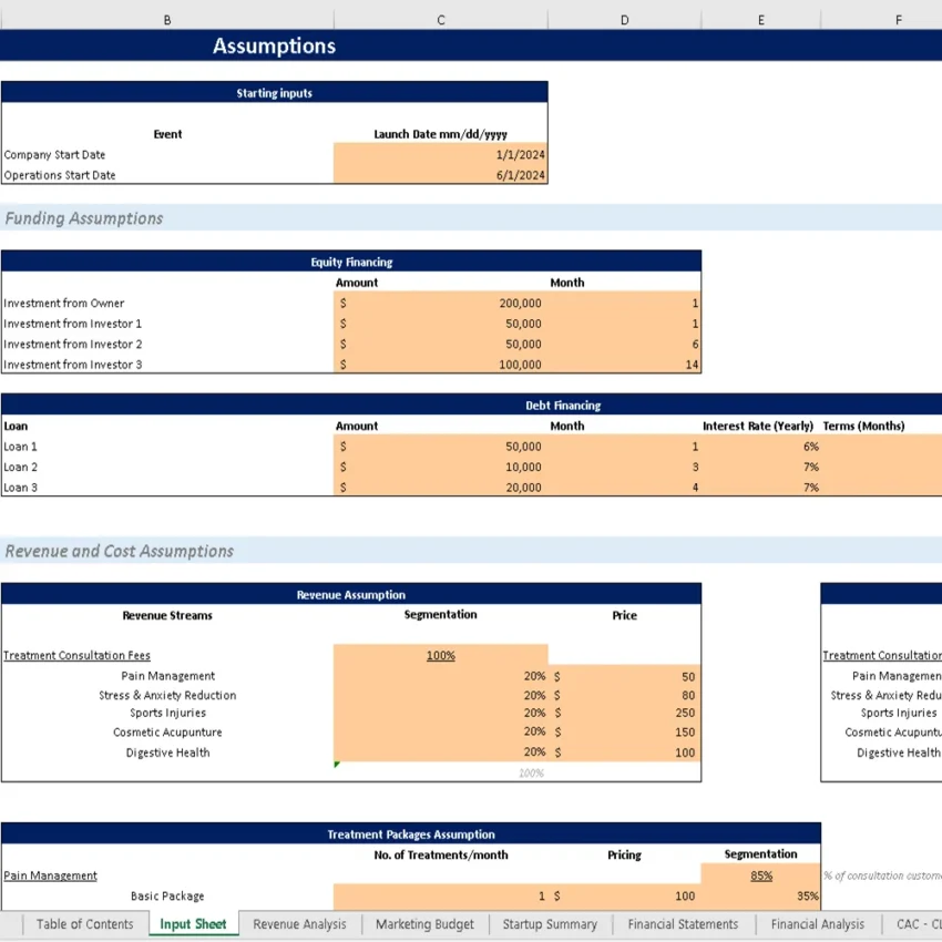 Acupuncture Center Financial Model - Assumption