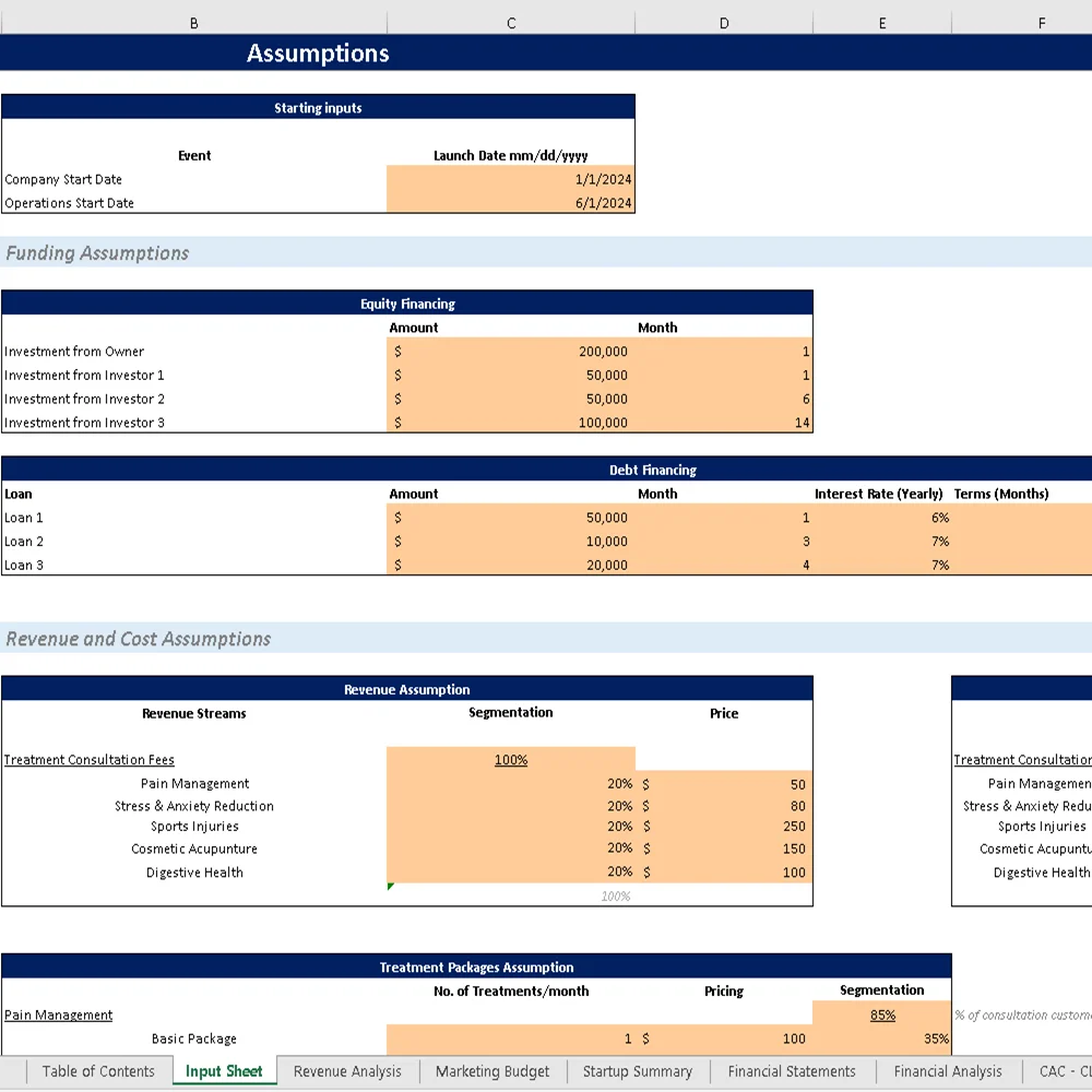 Acupuncture Center Financial Model - Assumption