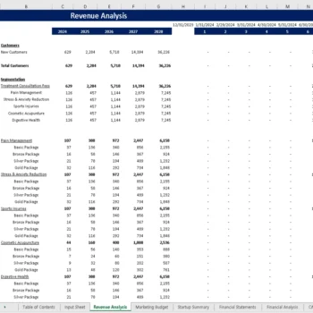 Acupuncture Center Financial Model - Revenue Analysis