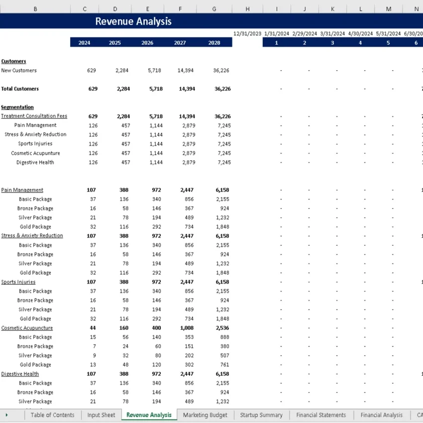 Acupuncture Center Financial Model - Revenue Analysis
