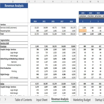 Graphic Designing Excel Financial Model - Revenue Analysis