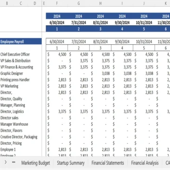 Graphic Designing Excel Financial Model - Working Sheet