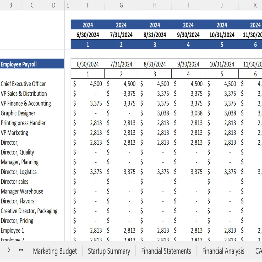 Graphic Designing Excel Financial Model - Working Sheet