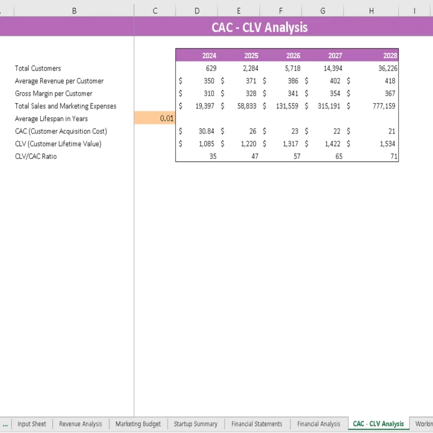 Rock Climbing Gym Financial Model - CAC-CLV Analysis