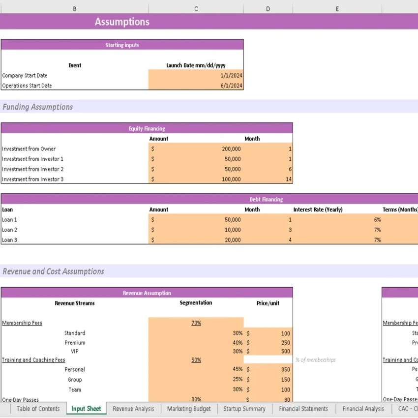 Rock Climbing Gym Financial Model - Input Sheet