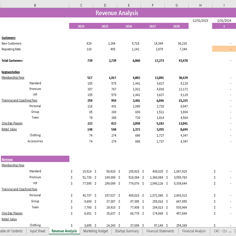 Rock Climbing Gym Financial Model - Revenue Analysis